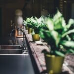 Un évier de cuisine avec robinet, plan de travail et plusieurs plantes vertes