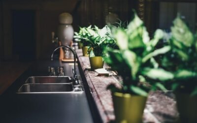 Un évier de cuisine avec robinet, plan de travail et plusieurs plantes vertes