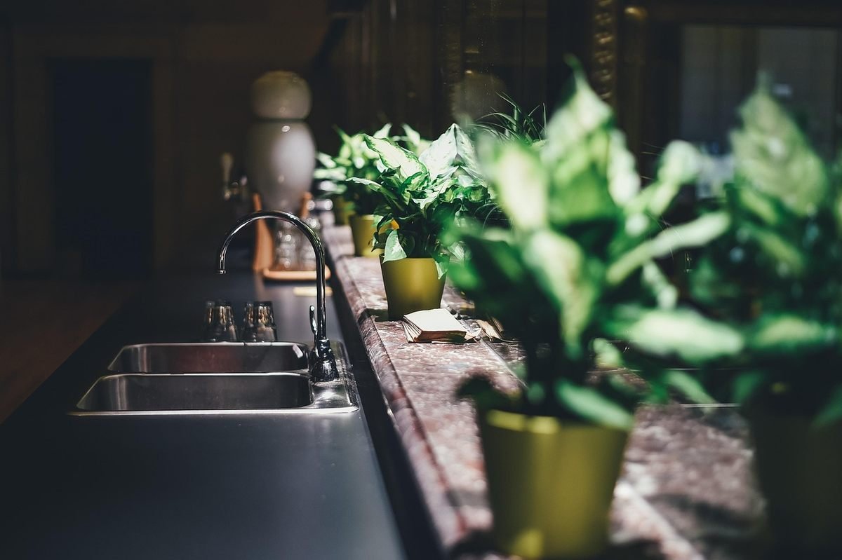 Un évier de cuisine avec robinet, plan de travail et plusieurs plantes vertes
