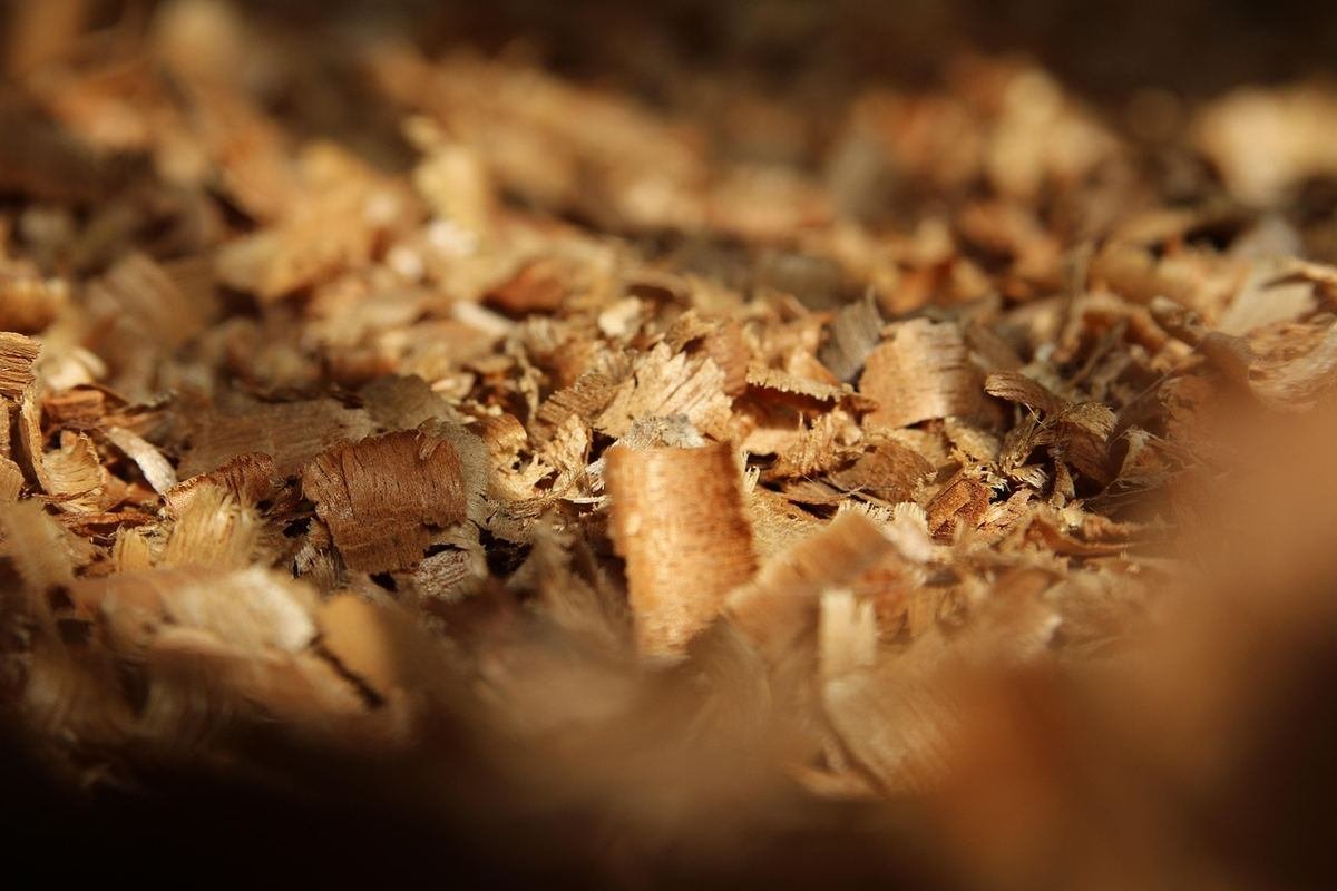 Écorces et copeaux de bois dispersés sur une surface, lumière naturelle